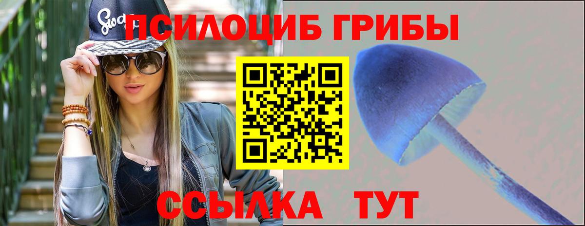 Галлюциногенные грибы GOLDEN TEACHER Междуреченск