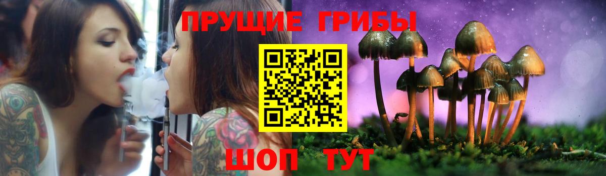 Междуреченск  Псилоцибиновые грибы мухоморы  Вход с VPN 